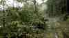 Großhagel sorgt für enorme Schäden, duzente umgetürzte Bäume: 6 cm große Hagelsteine durch Superzelle