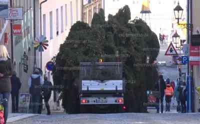 Trotz Corona Annaberger Weihnachtsbaum rollt durch die Annaberger Gassen: traditionelle Weihnachtsmarkt fällt aus, der Weihnachtsbaum wird trotzdem aufgebaut, aufwändige Aktion in Annaberg-Buchholz, Baum fährt durch enge Gassen: Fichte stammt diesmal direkt aus Annaberg-Buchholz, spektakuläre Bilder vom Weihnachtsbaum und den engen Gassen