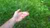 Heftige Hagelunwetter, 4 cm Hagel, bis zu 40 cm türmt sich der Hagel im Garten: Anwohnerin erzählt von dem bedrohlichen Aufzug des Unwetters