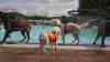 Hunderte Hunde stürmen Freibad: Vierbeiner beenden Super-Sommersaison – Nach Hitzesommer erobern nun zahlreiche Hunde das Schwimmbad in Reutlingen in einem der größten Freibäder Deutschlands, endlich wieder ein erfolgreiches Badejahr nach der Corona-Pandemie, O-Ton von Betreiber: Nach Rekordsommer - Hundeschwimmen im Freibad beendet die Sommerbadesaison in Deutschland