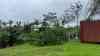 Zyklin „Judy“ fegt über Inselstaat Vanuatu hinweg: Orkanböen und heftiger Starkregen peitschen über Insel hinweg, Palmen und große Bäume umgeknickt: Südsee in den letzten Wochen von zahlreichen Zyklonen betroffen