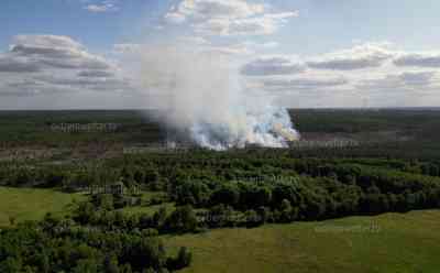 Großer Waldbrand in Brandenburg: Flammen schlagen bis zu einem Meter hoch, über 30 Hektar Wald brennen bei Jüterborg, Löschflugzeuge im Einsatz, Feuerwehr besorgt – Brand droht in Kieferwälder zu wandern (on tape): Feuerwehr kann Gebiet wegen Munition nicht betreten, Löscharbeiten werden noch andauern