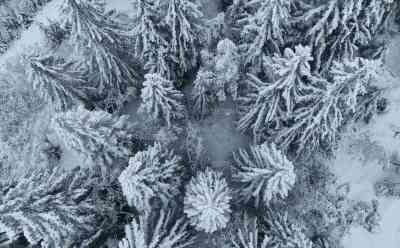 Endlich Winter: Heftiger Schneefall nach wochenlangem Schmuddelwetter im Allgäu - Starkes Schneetreiben durch Italientief - Menschen stürmen in die Skigebiete - Drohnenaufnahmen: Wintermärchen Allgäu: Endlich ist der Winter zurück - Kräftige Schneefälle zum Ferienende im Süden