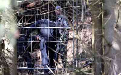 Schatzsucher im Erzgebirge weiterhin vermisst - Leichenspürhunde im Einsatz (on tape): Hunde schlugen vorsichtig an, am Nachmittag sollen Hunde erneut Waldgebiet durchkämen: Polizei rechnet nicht mehr damit, den Vermissten lebend zu finden