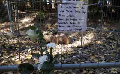 Suche nach Schatzsucher im Erzgebirge beendet: Schatzsucher vom Bergbau begraben, Bergung des Leichnams kostet Stadt bis zu 400.000 Euro und verzichtet im Verhältnis auf Bergung, Rosen und Trauerkarten am Stollen: Alle Maßnahmen von Feuerwehr und Polizei ausgeschöpft, Leichenhunde schlugen an Verbruch und Mundlöcher deutlich an